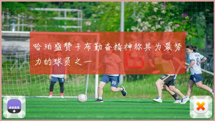 哈珀盛赞卡布勤奋精神称其为最努力的球员之一