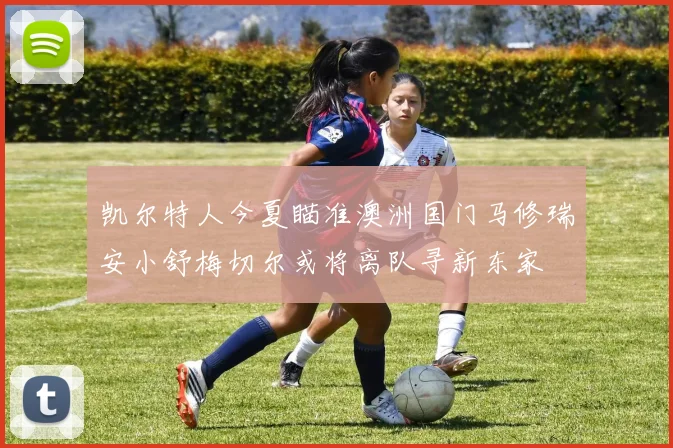 凯尔特人今夏瞄准澳洲国门马修瑞安小舒梅切尔或将离队寻新东家
