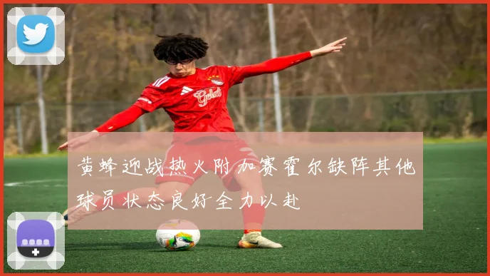 黄蜂迎战热火附加赛霍尔缺阵其他球员状态良好全力以赴
